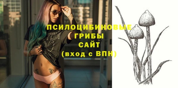 первитин Дмитриев