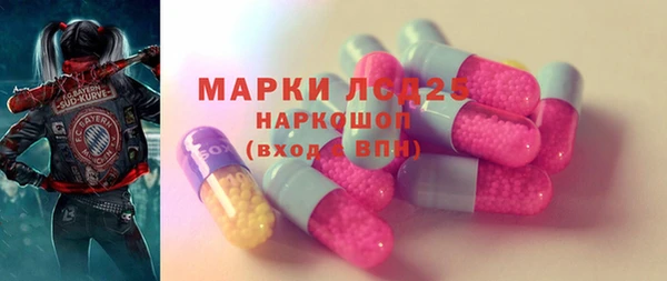 гашик Дмитров