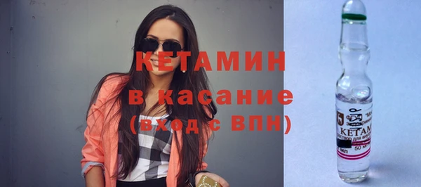 гашик Дмитров