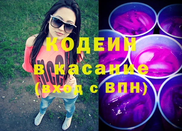 гашик Дмитров