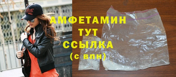 гашик Дмитров