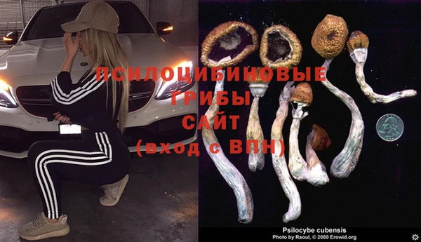амфетамин Гусь-Хрустальный