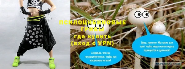 амфетамин Гусь-Хрустальный