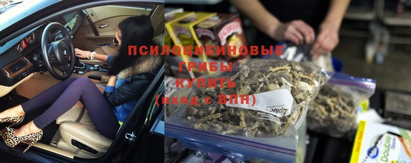 гашик Дмитров