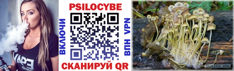 Псилоцибиновые грибы Magic Shrooms  где купить   Тара 